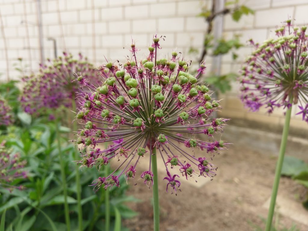HTC U Ultra fotografie 11