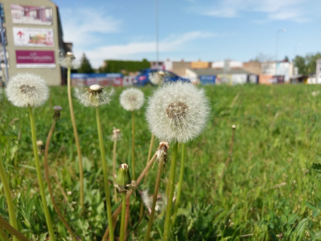 HTC U Ultra fotografie 9