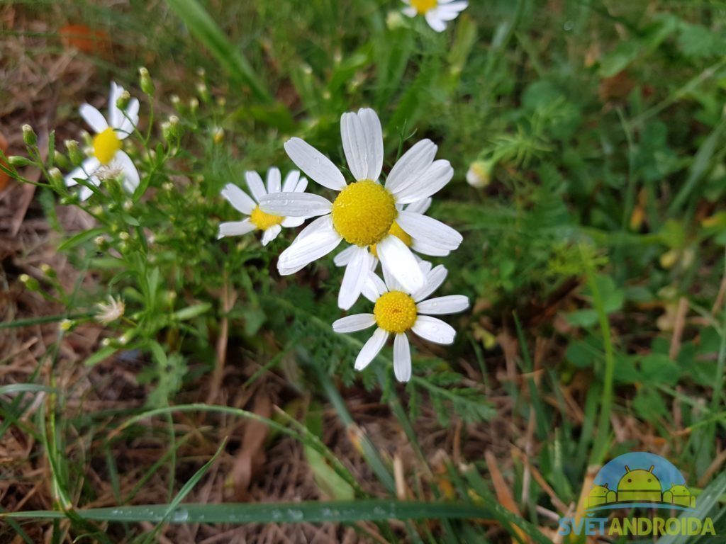 Samsung Galaxy Note 7 porizene fotografie 14